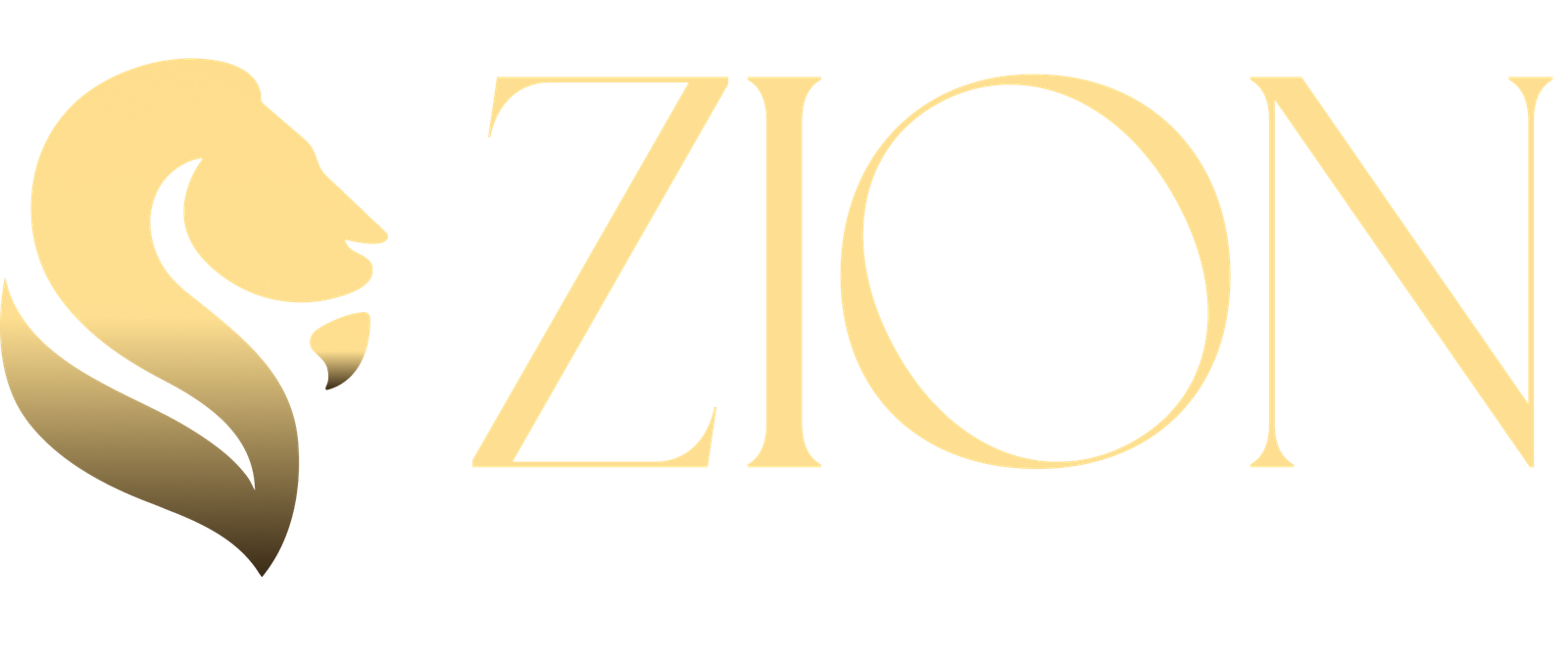 Zion Assessoria